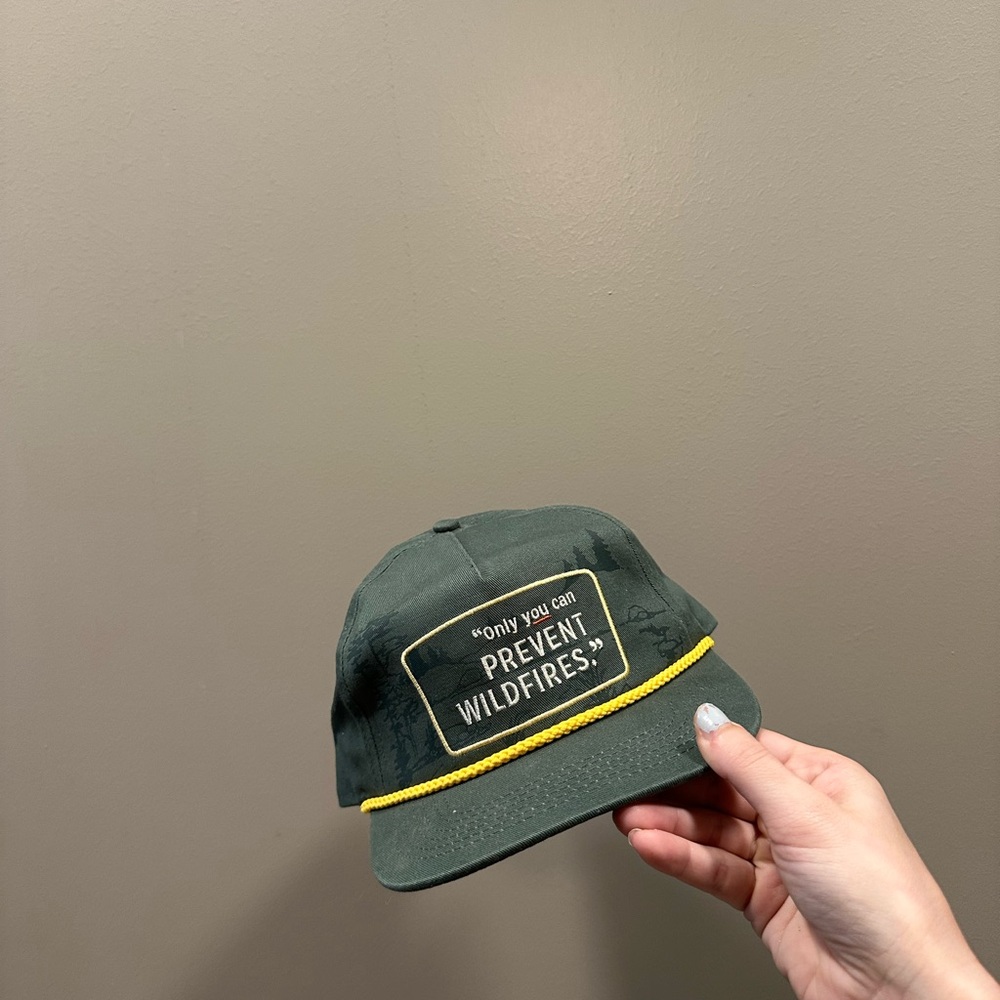 ‘Only You Can Prevent Wildfires’ The Landmark Project Cap